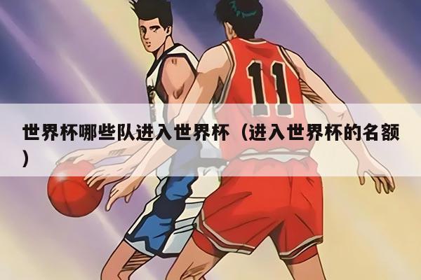 世界杯哪些队进入世界杯（进入世界杯的名额）