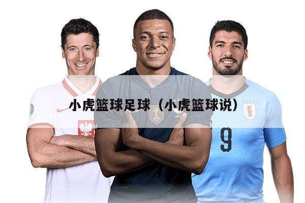 小虎篮球足球(小虎篮球说)