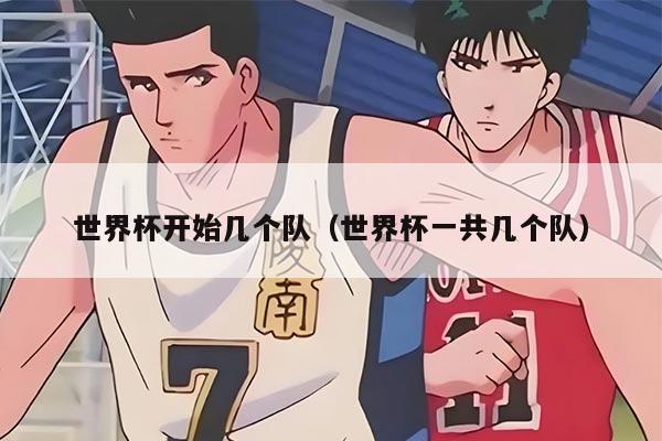 世界杯开始几个队（世界杯一共几个队）