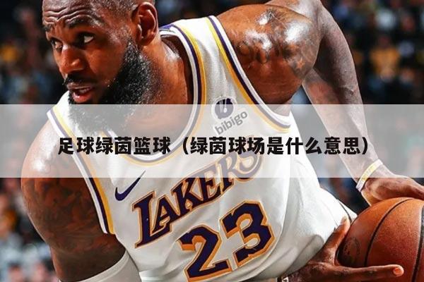 足球绿茵篮球（绿茵球场是什么意思）