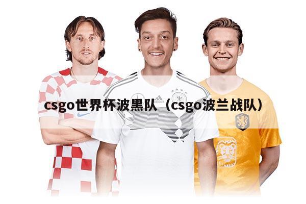 csgo世界杯波黑队（csgo波兰战队）