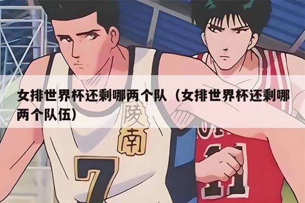 女排世界杯还剩哪两个队（女排世界杯还剩哪两个队伍）