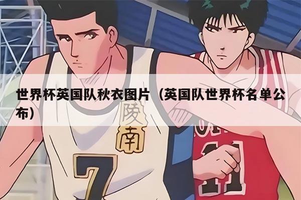 世界杯英国队秋衣图片（英国队世界杯名单公布）