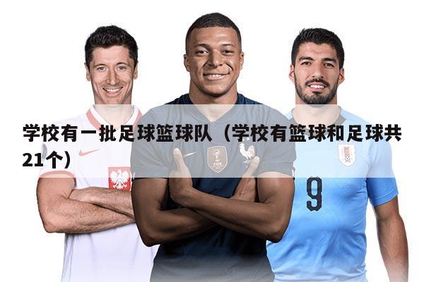 学校有一批足球篮球队（学校有篮球和足球共21个）