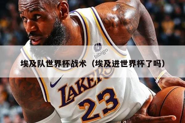 埃及队世界杯战术（埃及进世界杯了吗）