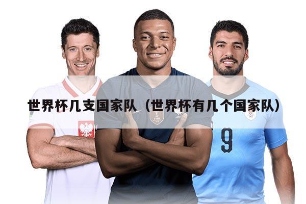 世界杯几支国家队（世界杯有几个国家队）