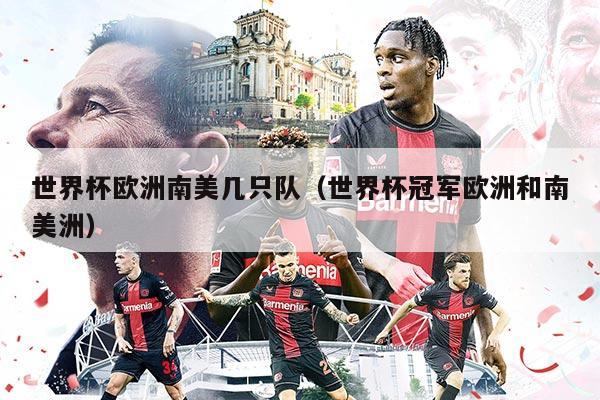 世界杯欧洲南美几只队（世界杯冠军欧洲和南美洲）