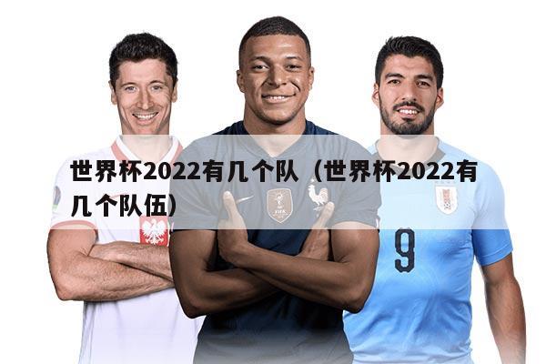 世界杯2022有几个队（世界杯2022有几个队伍）