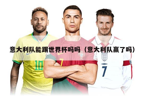 意大利队能踢世界杯吗吗（意大利队赢了吗）