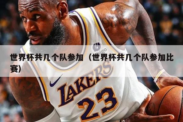 世界杯共几个队参加（世界杯共几个队参加比赛）