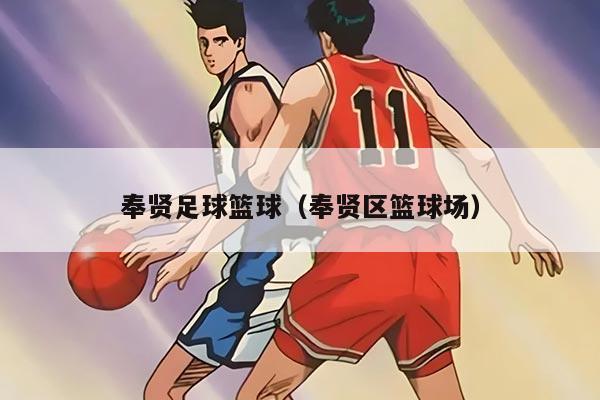 奉贤足球篮球（奉贤区篮球场）