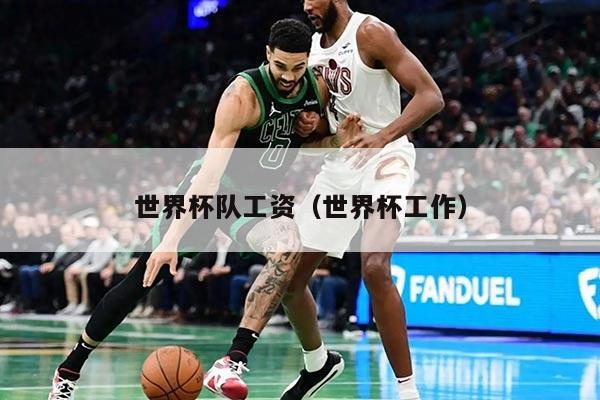 世界杯队工资（世界杯工作）