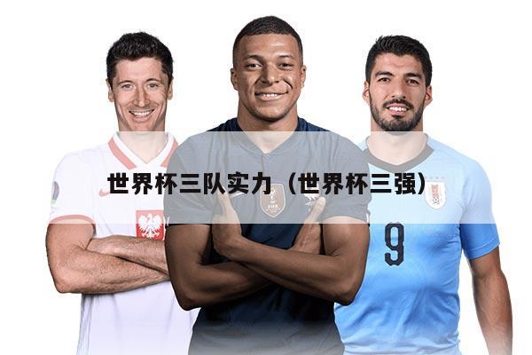 世界杯三队实力（世界杯三强）