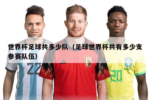 世界杯足球共多少队（足球世界杯共有多少支参赛队伍）