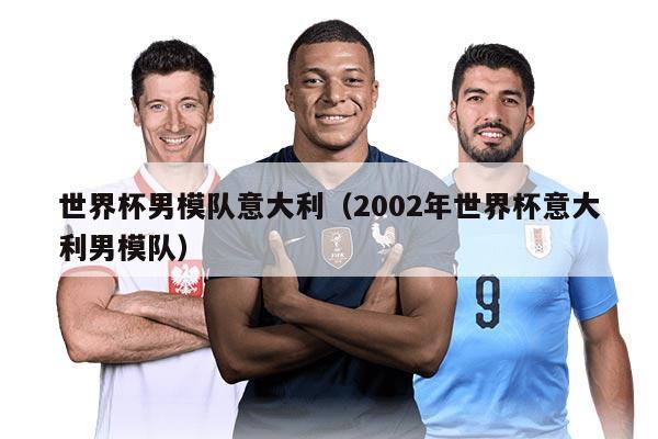 世界杯男模队意大利（2002年世界杯意大利男模队）
