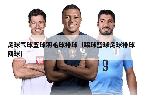 足球气球篮球羽毛球排球（踢球篮球足球排球网球）