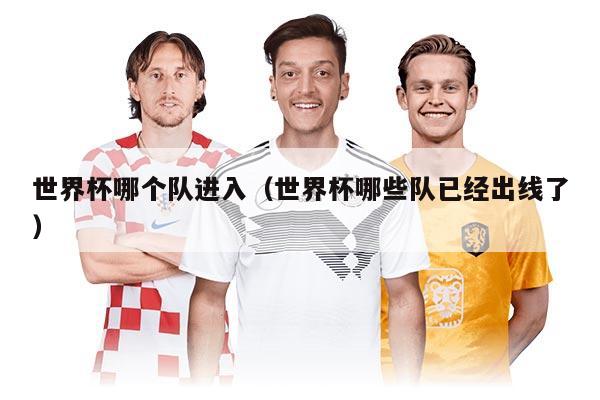 世界杯哪个队进入（世界杯哪些队已经出线了）