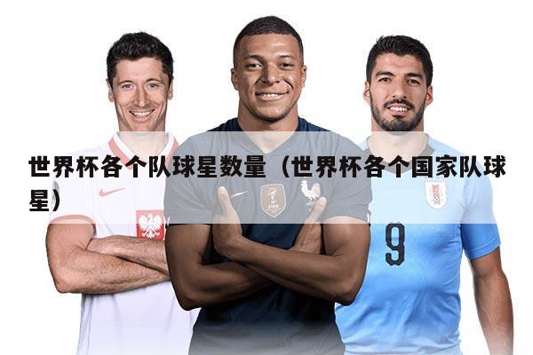 世界杯各个队球星数量（世界杯各个国家队球星）