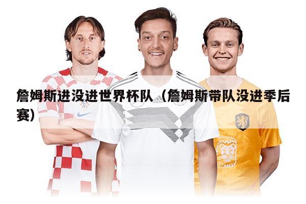 詹姆斯进没进世界杯队（詹姆斯带队没进季后赛）