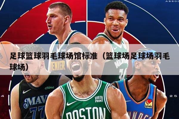 足球篮球羽毛球场馆标准（篮球场足球场羽毛球场）