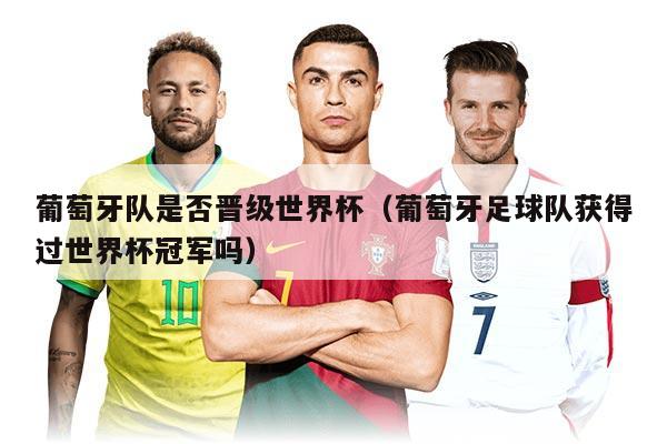 葡萄牙队是否晋级世界杯（葡萄牙足球队获得过世界杯冠军吗）