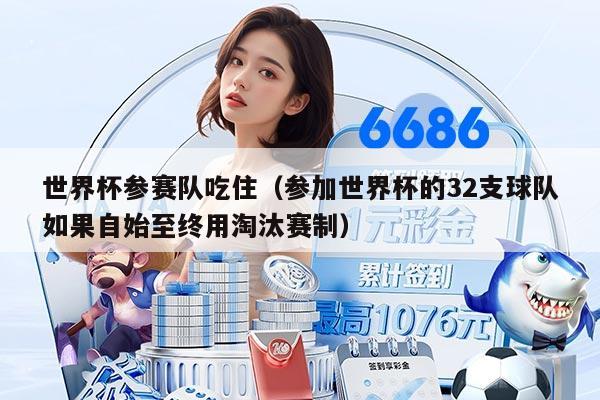 世界杯参赛队吃住（参加世界杯的32支球队如果自始至终用淘汰赛制）
