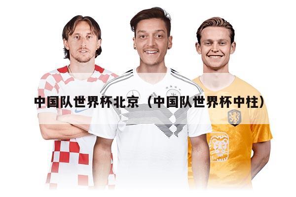 中国队世界杯北京（中国队世界杯中柱）