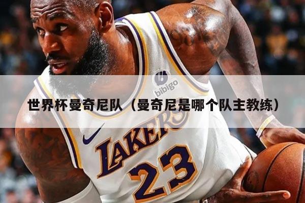 世界杯曼奇尼队（曼奇尼是哪个队主教练）