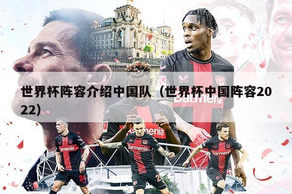 世界杯阵容介绍中国队（世界杯中国阵容2022）