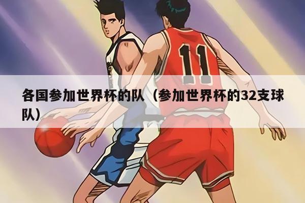 各国参加世界杯的队（参加世界杯的32支球队）