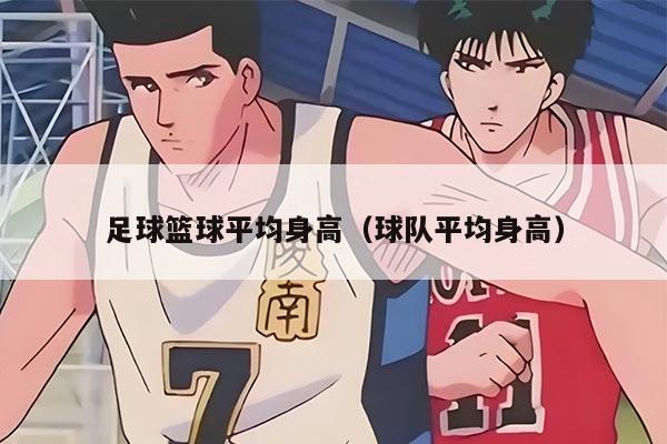 足球篮球平均身高（球队平均身高）