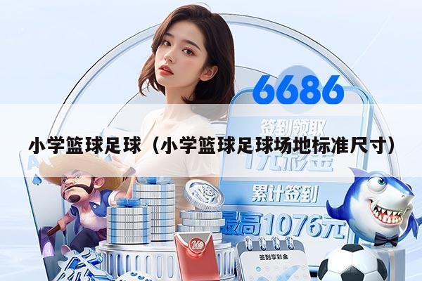 小学篮球足球（小学篮球足球场地标准尺寸）
