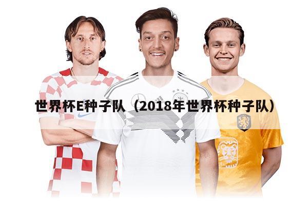 世界杯E种子队（2018年世界杯种子队）