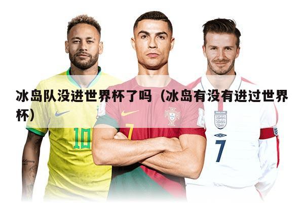 冰岛队没进世界杯了吗（冰岛有没有进过世界杯）