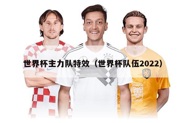 世界杯主力队特效（世界杯队伍2022）