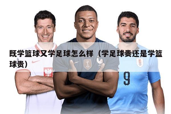 既学篮球又学足球怎么样（学足球贵还是学篮球贵）