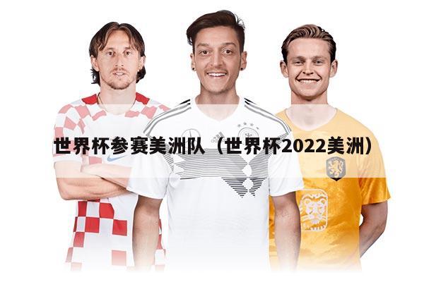 世界杯参赛美洲队（世界杯2022美洲）