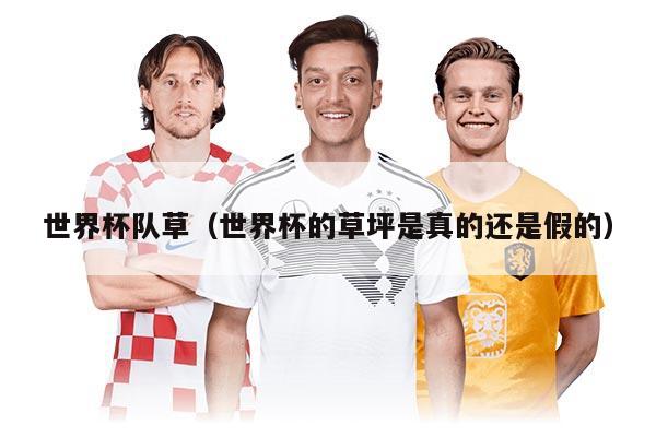 世界杯队草（世界杯的草坪是真的还是假的）