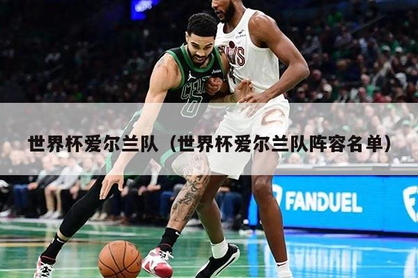 世界杯爱尔兰队（世界杯爱尔兰队阵容名单）