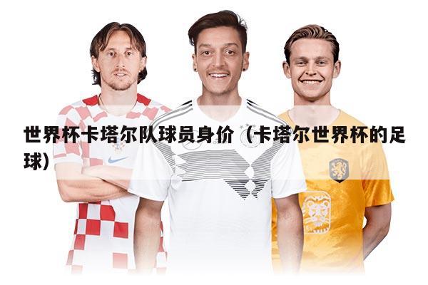 世界杯卡塔尔队球员身价（卡塔尔世界杯的足球）