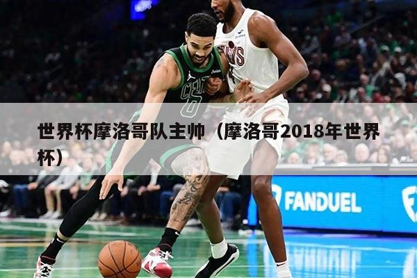 世界杯摩洛哥队主帅(摩洛哥2018年世界杯)