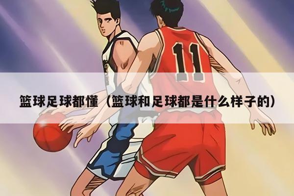 篮球足球都懂（篮球和足球都是什么样子的）