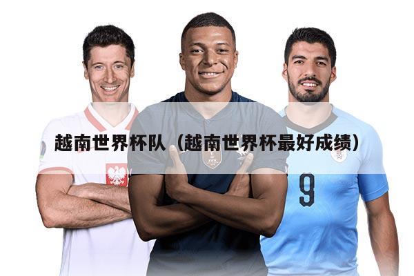 越南世界杯队（越南世界杯最好成绩）