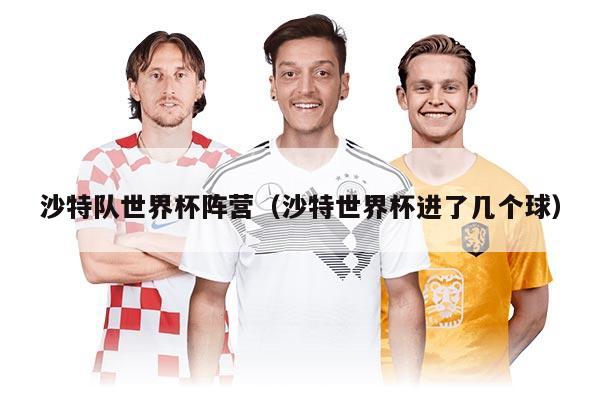 沙特队世界杯阵营（沙特世界杯进了几个球）
