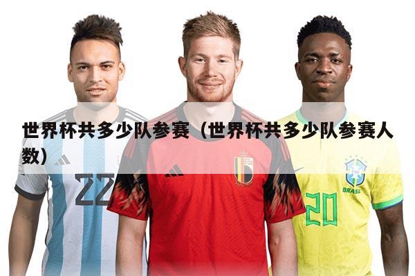 世界杯共多少队参赛(世界杯共多少队参赛人数)