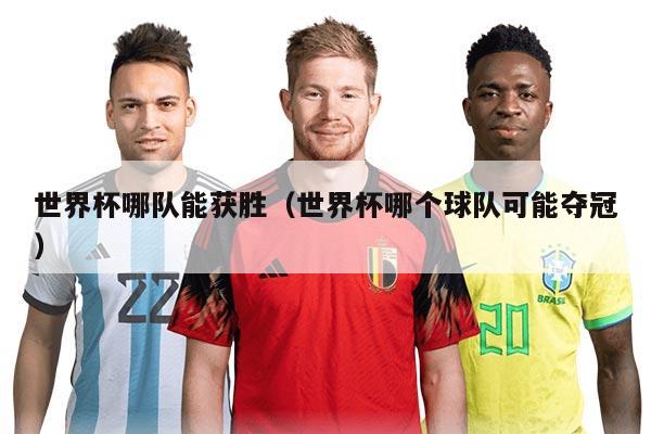 世界杯哪队能获胜(世界杯哪个球队可能夺冠)