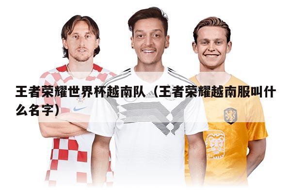 王者荣耀世界杯越南队(王者荣耀越南服叫什么名字)
