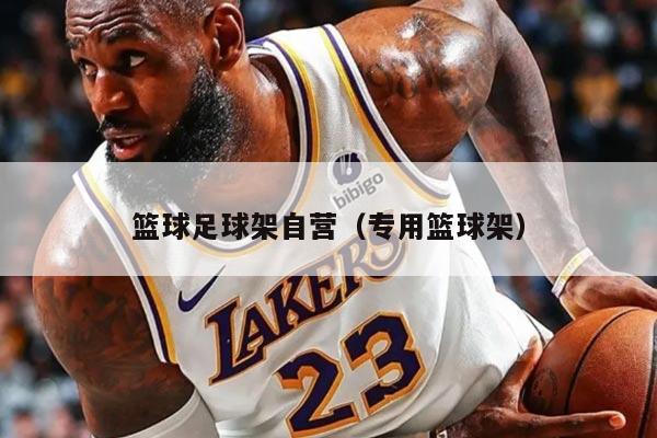 篮球足球架自营（专用篮球架）