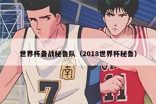 世界杯备战秘鲁队（2018世界杯秘鲁）