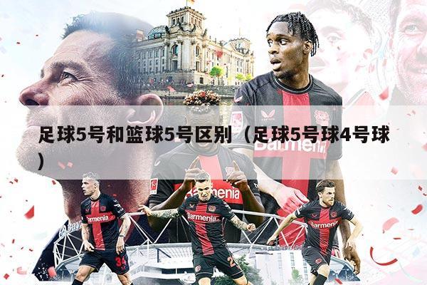 足球5号和篮球5号区别（足球5号球4号球）